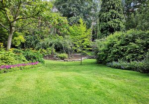 Optimiser l'expérience du jardin à La Genevraie